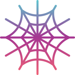 Spider web icon