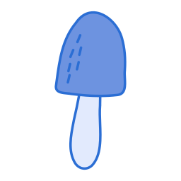 Muscaria icon