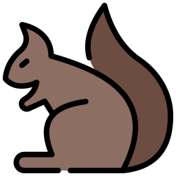 Squirrel icon