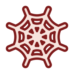 Spiderweb icon