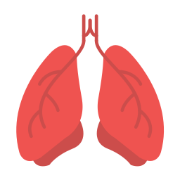 Pulmonology icon