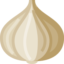 Onion icon