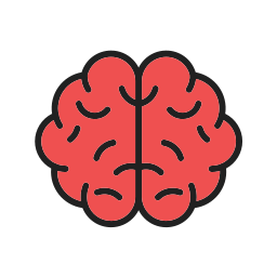 cerveau humain Icône