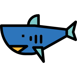 Shark icon