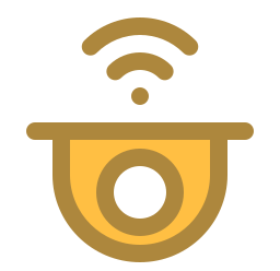 cctv icon