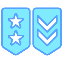 militärischer rang icon