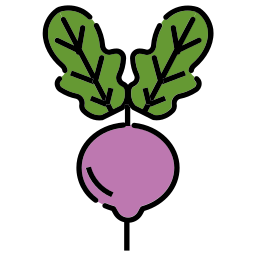 Radish icon