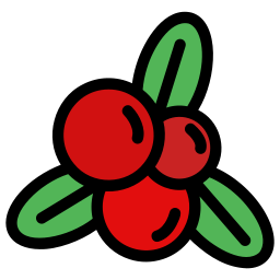 Cranberries icon