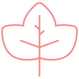 Leaf icon