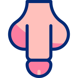 penis icon