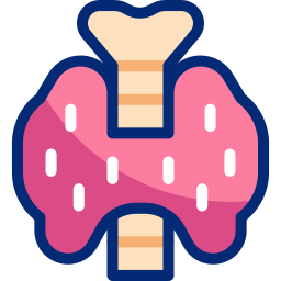 endocrine Icône