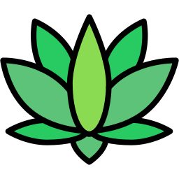 lotus blume icon