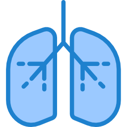 Lungs icon