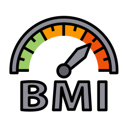 bmi icona