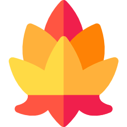 Lotus flower icon