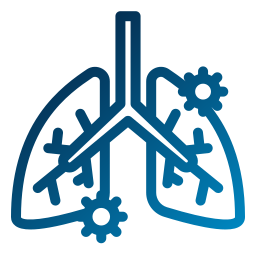 Lungs icon