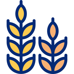 小麦 icon