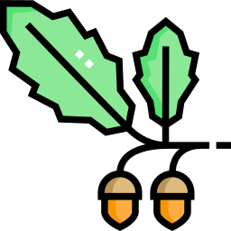 Acorn icon