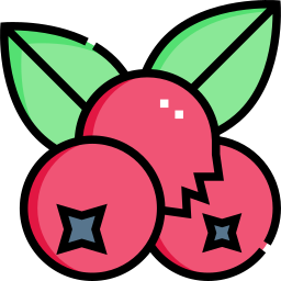 Berries icon