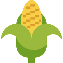 Corn icon