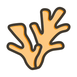 Coral icon