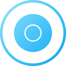 Vinyl disc icon