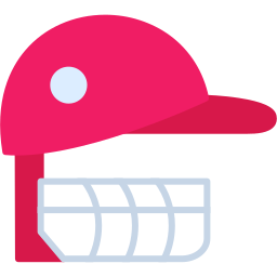 Cricket helmet icon