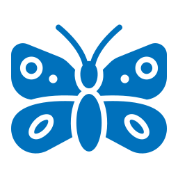 schmetterling icon