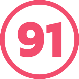 91 Ícone