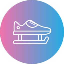 Skate shoes icon