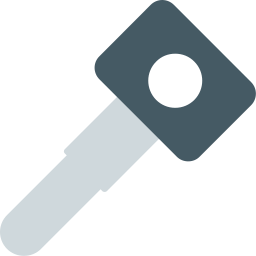 Car key icon