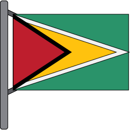 guyane Icône