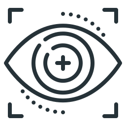 Iris authentication icon