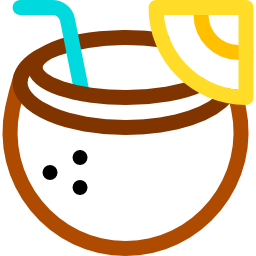 Coconut drink icon