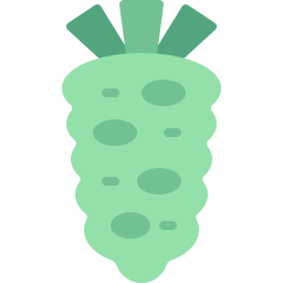 wasabi icoon