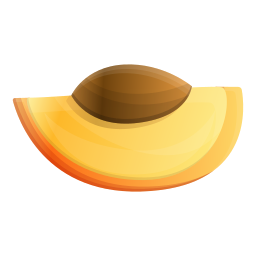 Fruit icon