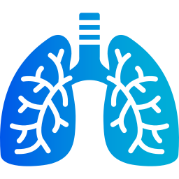 Lungs icon