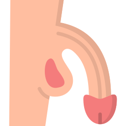 penis icon