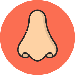 Nose icon