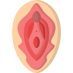 vagina Ícone