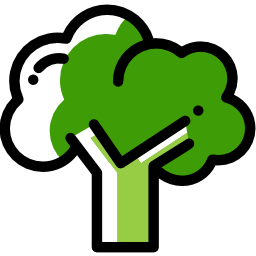 Broccoli icon