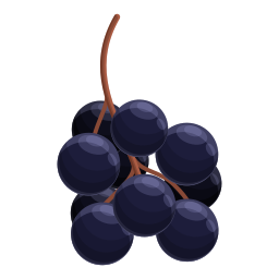 Fruit icon