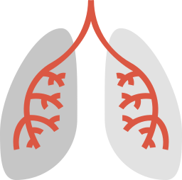 Lungs icon