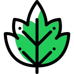 Leaf icon