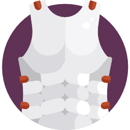 Armor icon