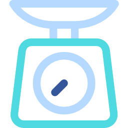 Scale icon