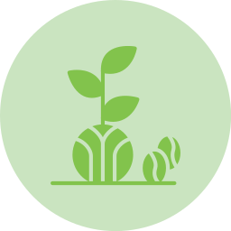 Coffee plant icon