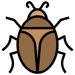 Insect icon