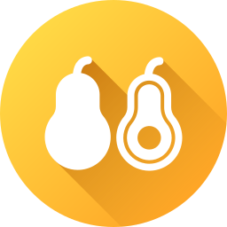 avocado icon