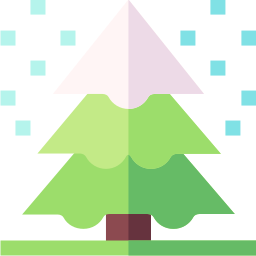 Pine icon